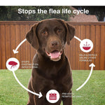 K9 Advantix II Flea, Tick & Mosquito Treatment for Extra Large Dogs (Over 55 lbs) – 6 Doses