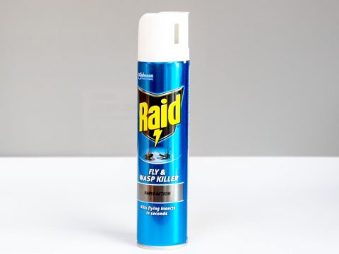 RAID FLY & WASP KILLER 300ML
