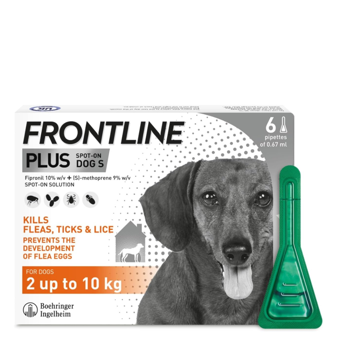 FRONTLINE Plus Small Dog – 6 Pipettes