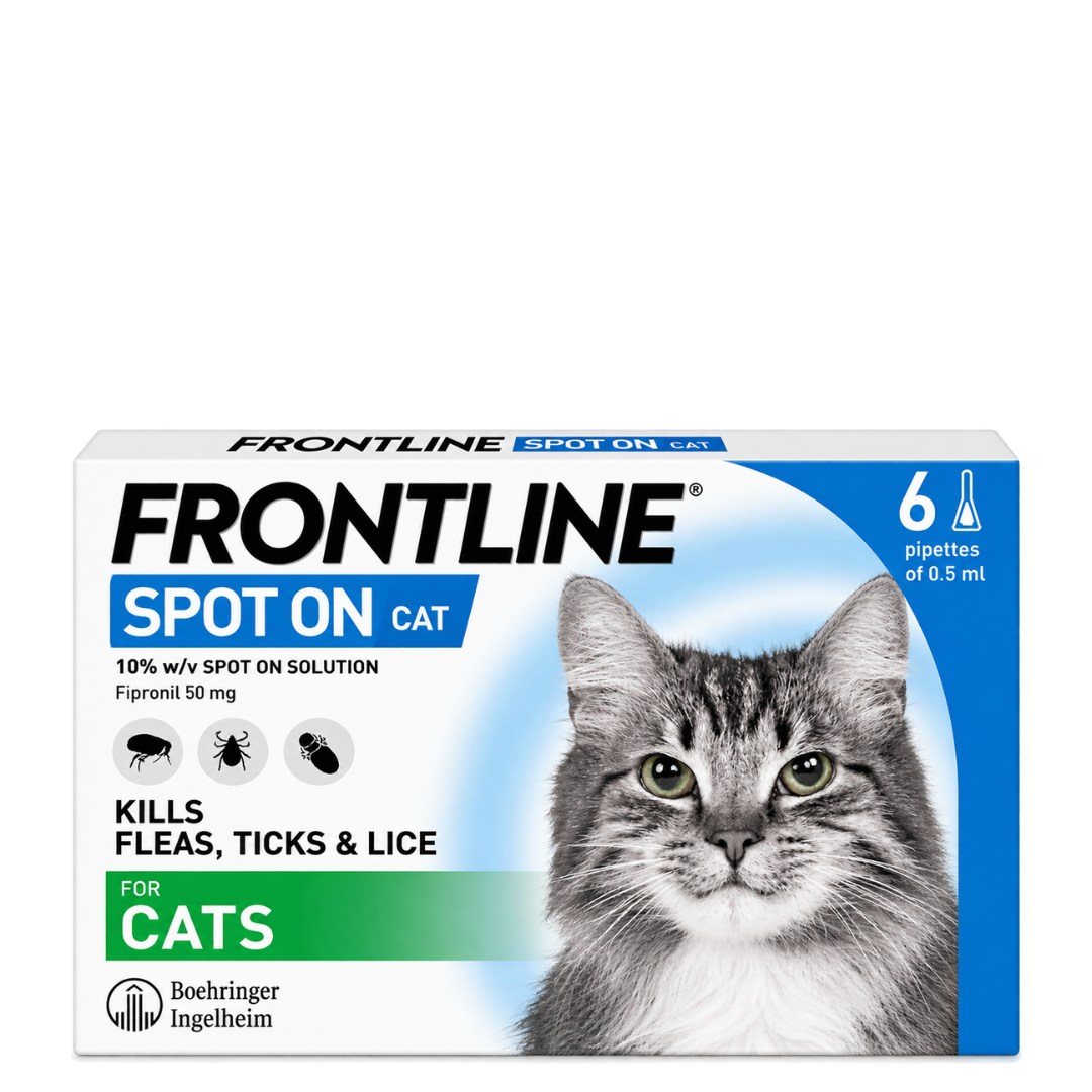 Frontline Spot On Cat For Cats and Ferrets (6 Pipettes) Main image