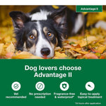 Advantage II Large Dog Flea Treatment (21-55 lbs, 4 Doses) + Pet Protect Digestive Health Chews (60 Count) Bundle