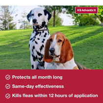 K9 Advantix II Flea, Tick & Mosquito Treatment for Small Dogs (4-10 lbs) – 6 Doses