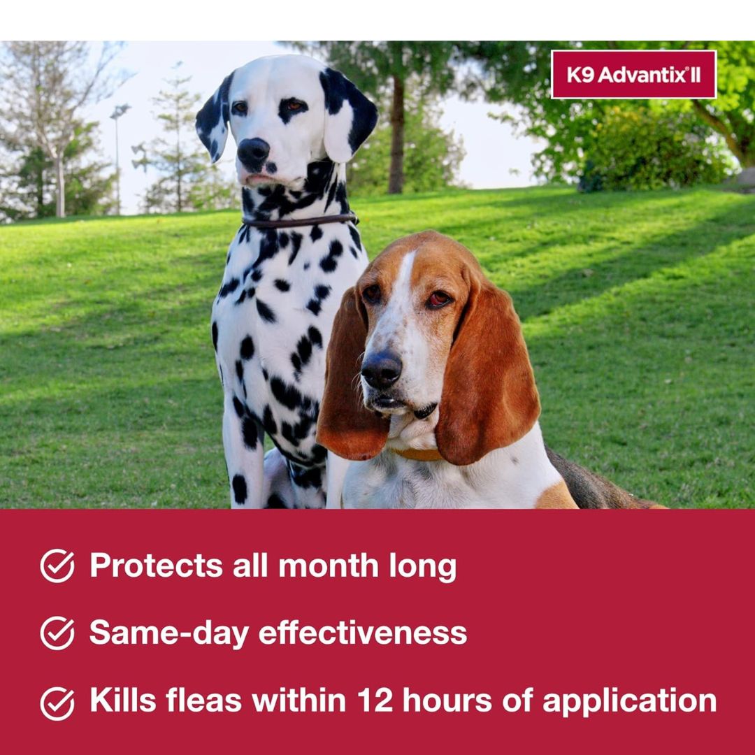 K9 Advantix II Flea, Tick & Mosquito Treatment for Small Dogs (4-10 lbs) – 6 Doses