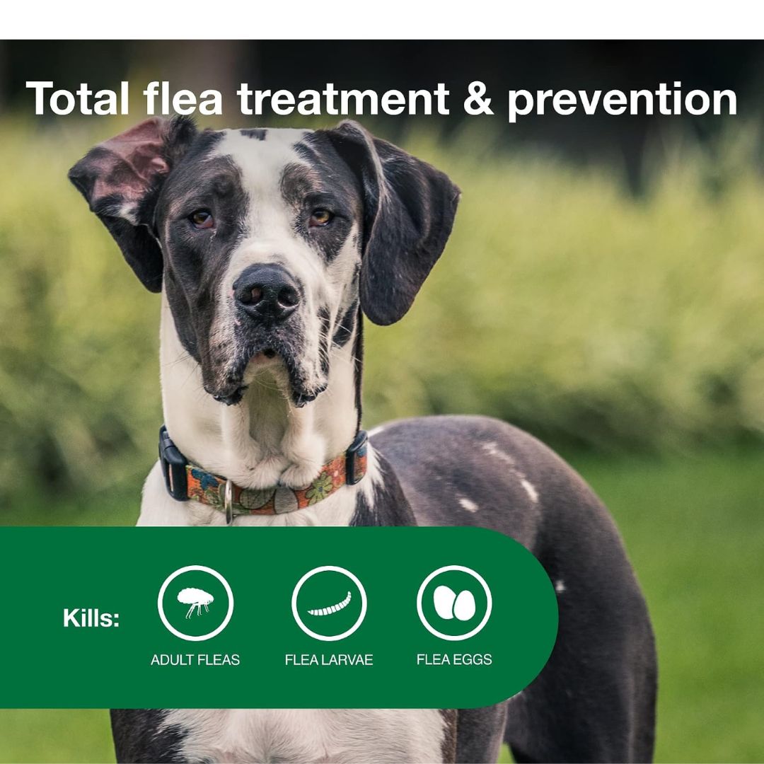 Advantage II Flea Treatment & Prevention for Extra Large Dogs (Over 55 lbs) – 4 Doses