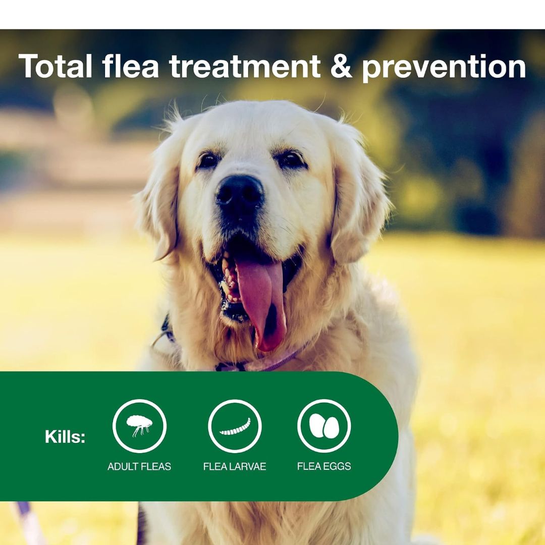 Advantage II Large Dog Flea Treatment (21-55 lbs, 4 Doses) + Pet Protect Digestive Health Chews (60 Count) Bundle