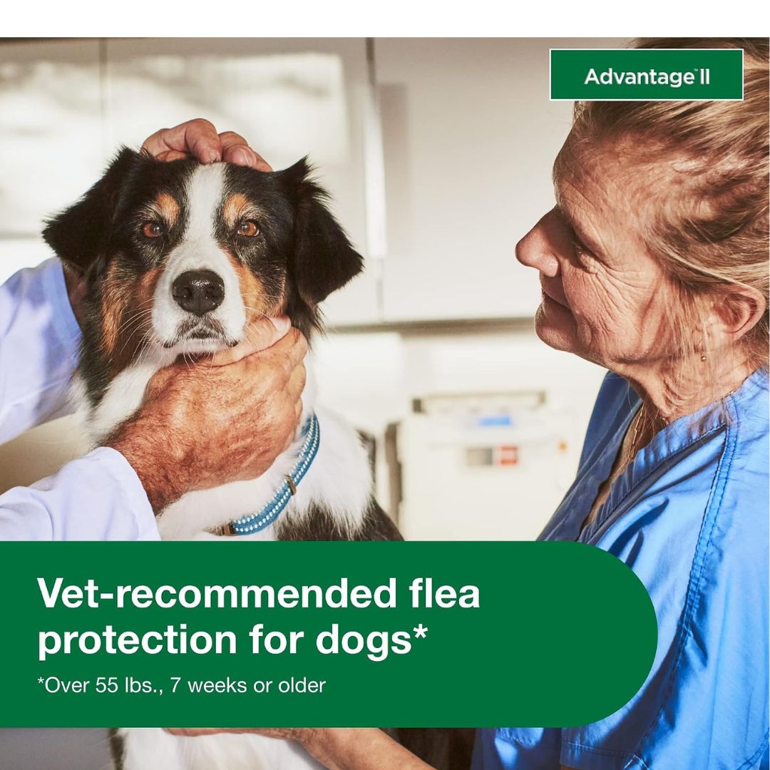 Advantage II Flea Treatment & Prevention for Extra Large Dogs (Over 55 lbs) – 4 Doses