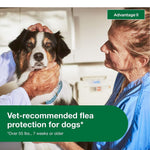Advantage II Flea Treatment & Prevention for Extra Large Dogs (Over 55 lbs) – 4 Doses