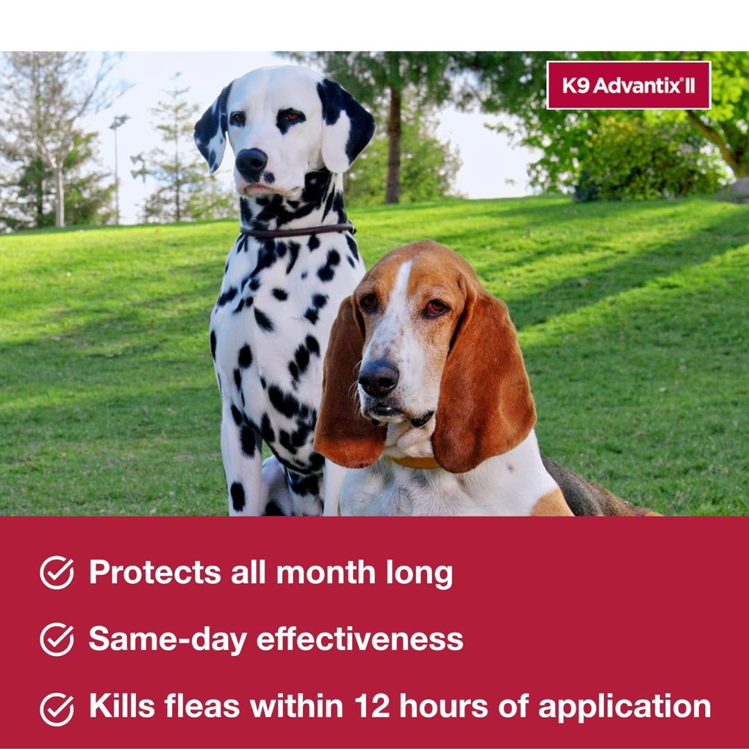 K9 Advantix II Flea, Tick & Mosquito Treatment for Extra Large Dogs (Over 55 lbs) – 6 Doses
