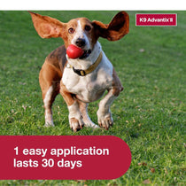 K9 Advantix II Flea, Tick & Mosquito Treatment for Small Dogs (4-10 lbs) – 6 Doses