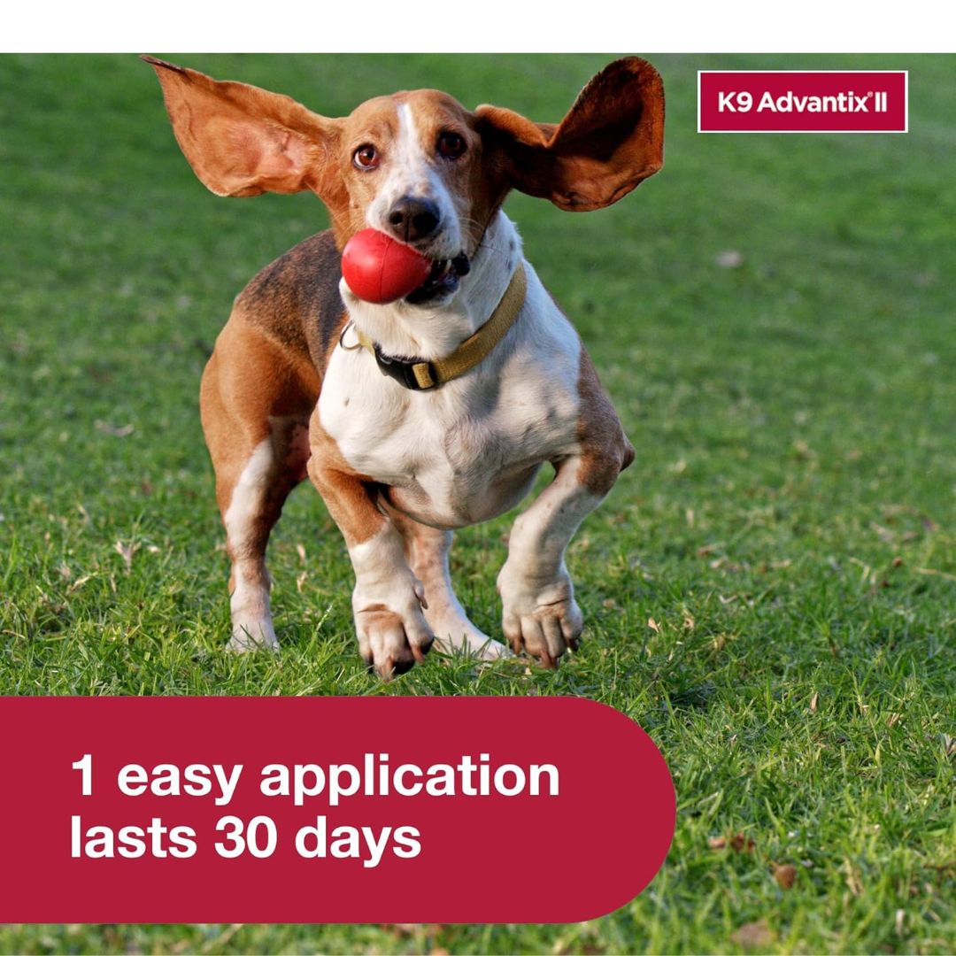 K9 Advantix II Flea, Tick & Mosquito Treatment for Small Dogs (4-10 lbs) – 6 Doses