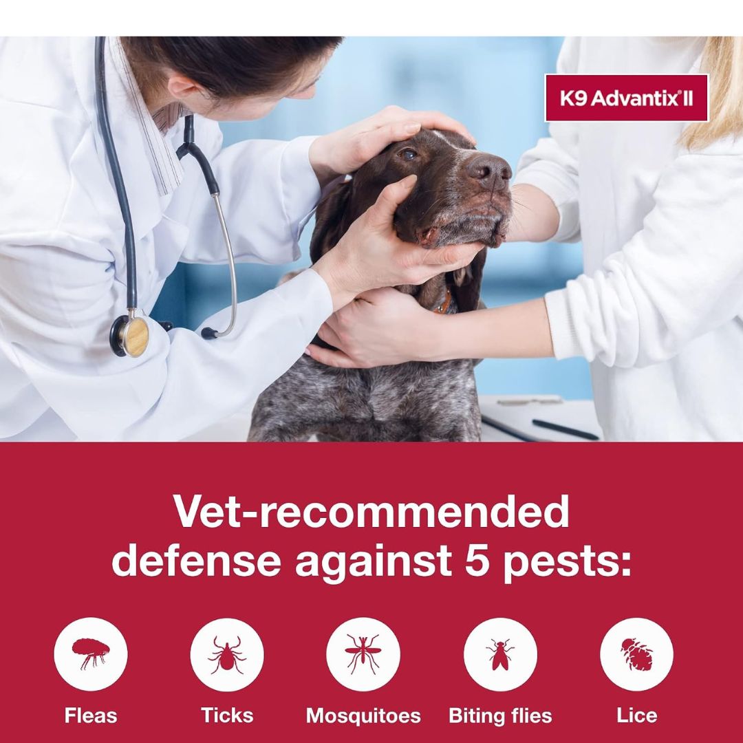 K9 Advantix II Flea, Tick & Mosquito Treatment for Extra Large Dogs (Over 55 lbs) – 6 Doses