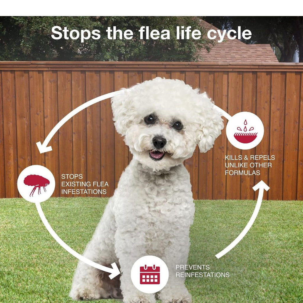 K9 Advantix II Flea, Tick & Mosquito Treatment for Small Dogs (4-10 lbs) – 6 Doses