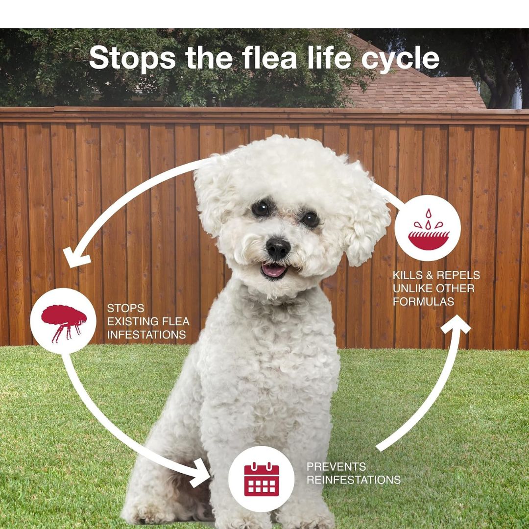 K9 Advantix II Flea, Tick & Mosquito Treatment for Small Dogs (4-10 lbs) – 6 Doses