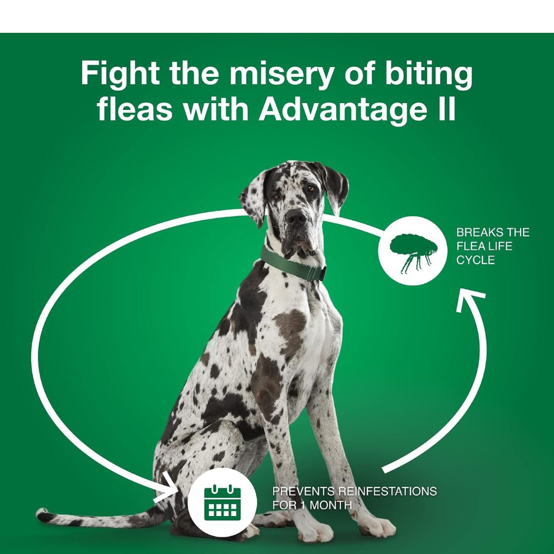 Advantage II Flea Treatment & Prevention for Extra Large Dogs (Over 55 lbs) – 4 Doses