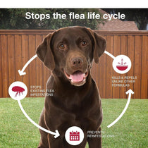 K9 Advantix II Flea, Tick & Mosquito Treatment for Extra Large Dogs (Over 55 lbs) – 6 Doses