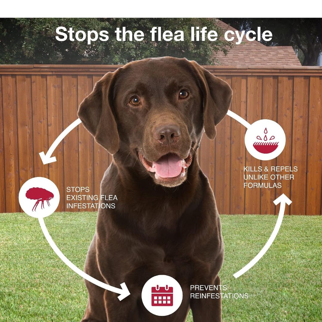 K9 Advantix II Flea, Tick & Mosquito Treatment for Extra Large Dogs (Over 55 lbs) – 6 Doses
