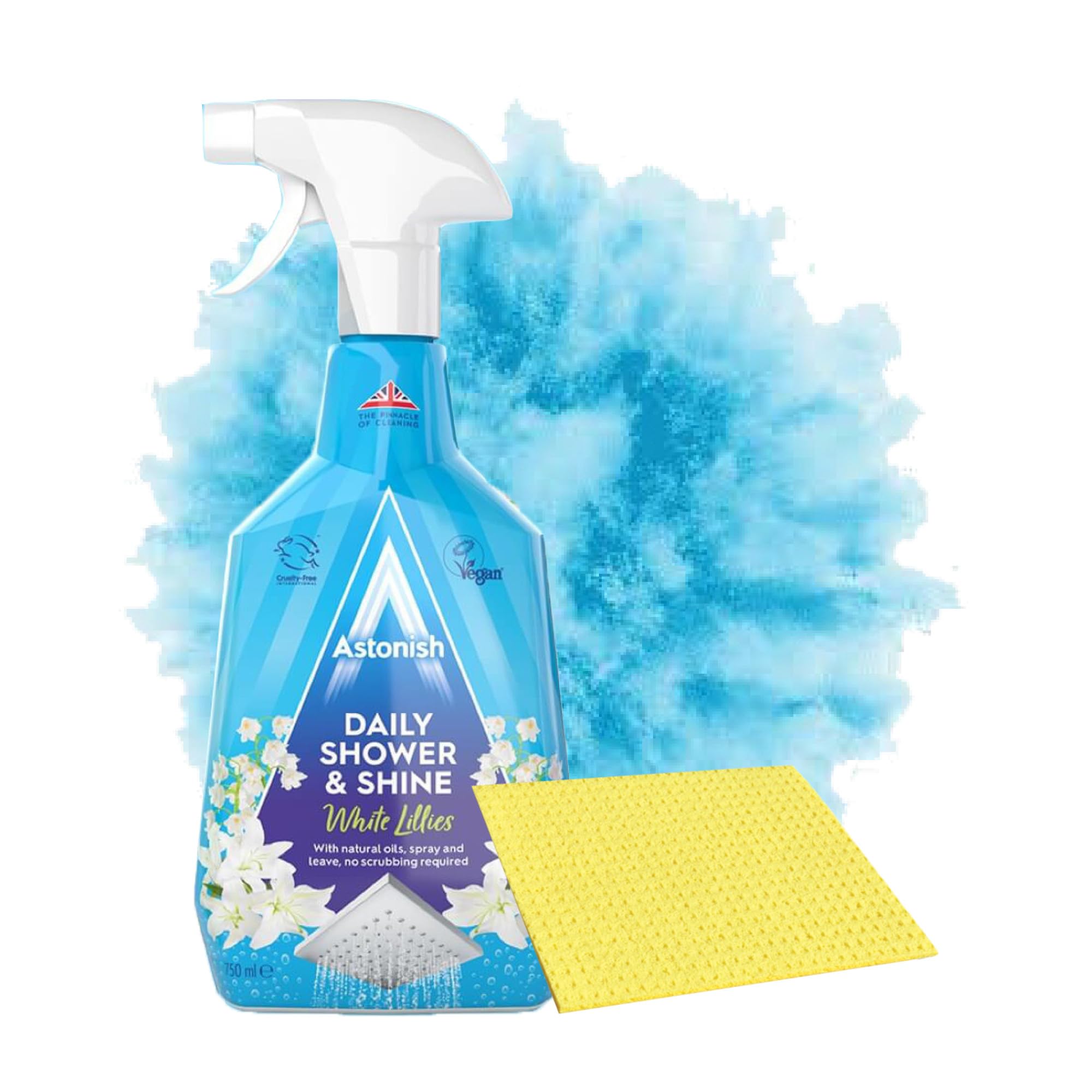 ASHTONISH DAILY SHOWER & SHINE 750ML