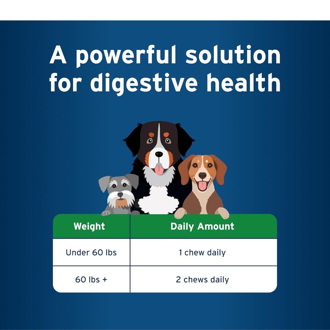 Advantage II Large Dog Flea Treatment (21-55 lbs, 4 Doses) + Pet Protect Digestive Health Chews (60 Count) Bundle