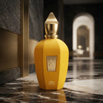 Xerjoff Erba Gold Eau de Parfum - Luxury Fragrance Spray (100 ml / 3.4 Fl Oz)