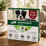 Advantage II Large Dog Flea Treatment (21-55 lbs, 4 Doses) + Pet Protect Digestive Health Chews (60 Count) Bundle