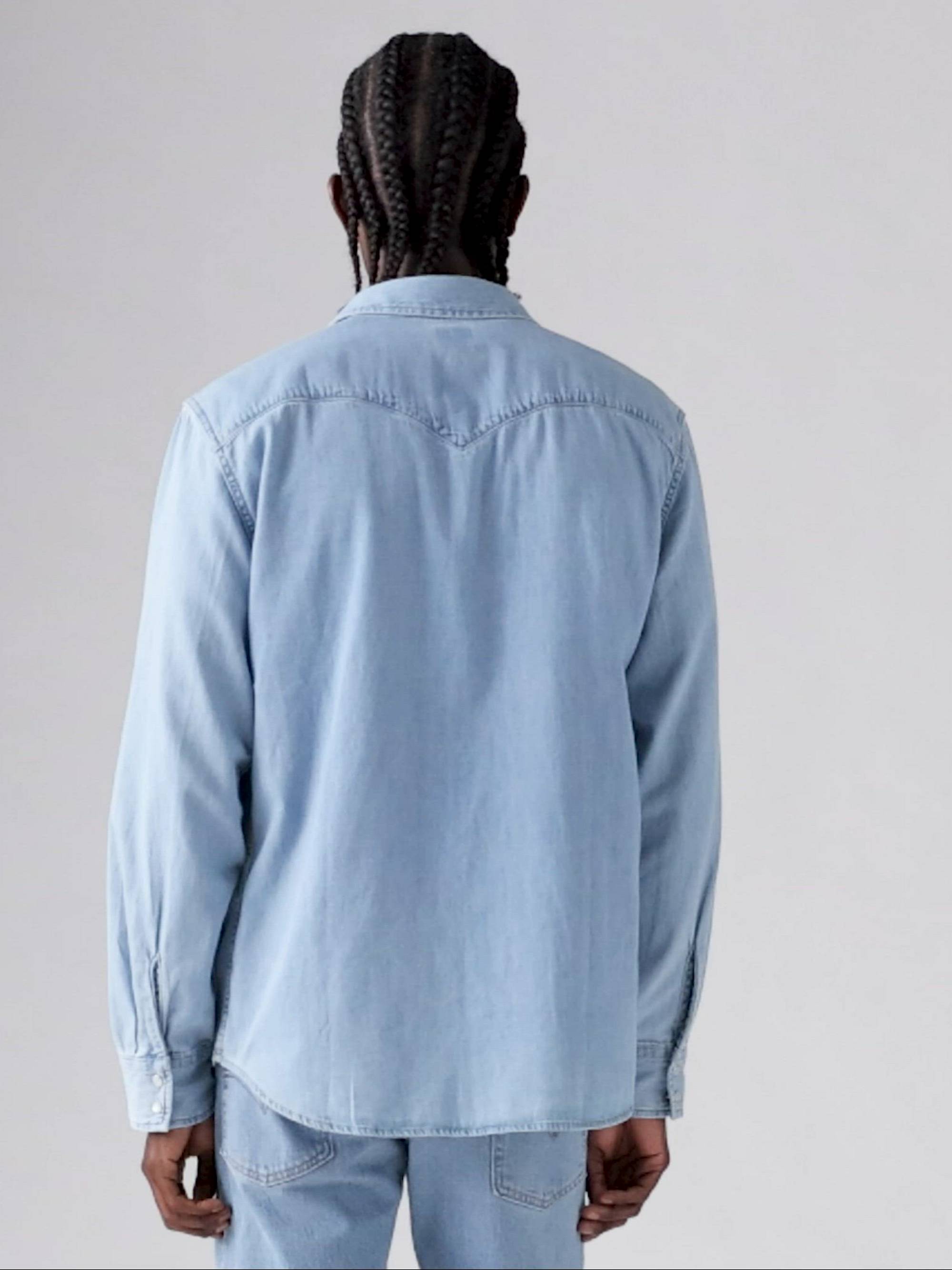 Classic Western Standard Fit Shirt
