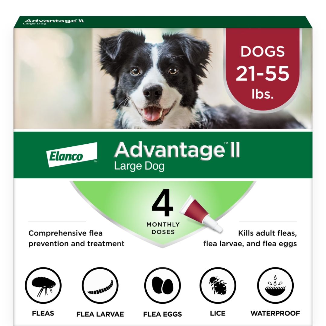 Advantage II Large Dog Flea Treatment (21-55 lbs, 4 Doses) + Pet Protect Digestive Health Chews (60 Count) Bundle Main image