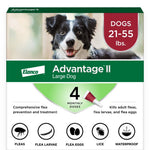Advantage II Large Dog Flea Treatment (21-55 lbs, 4 Doses) + Pet Protect Digestive Health Chews (60 Count) Bundle