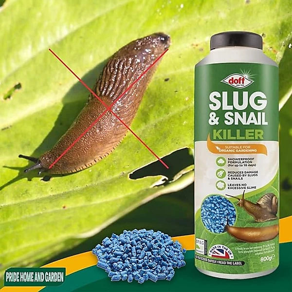 DOFF SLUG & SNAIL KILLER 800G