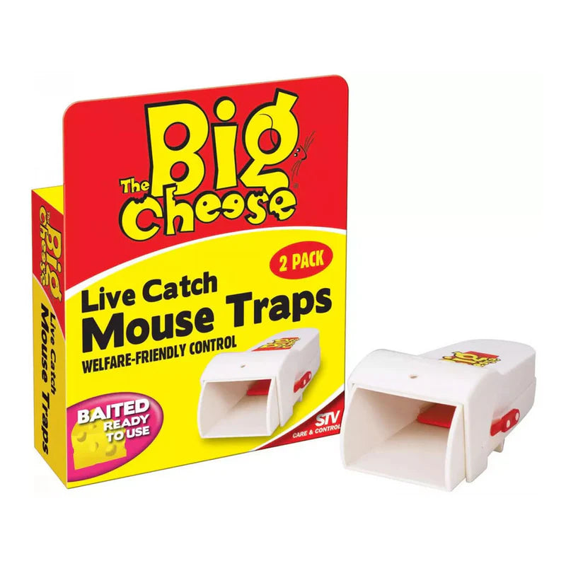 BIG CHEESE MOUSE TRAP 2 PK