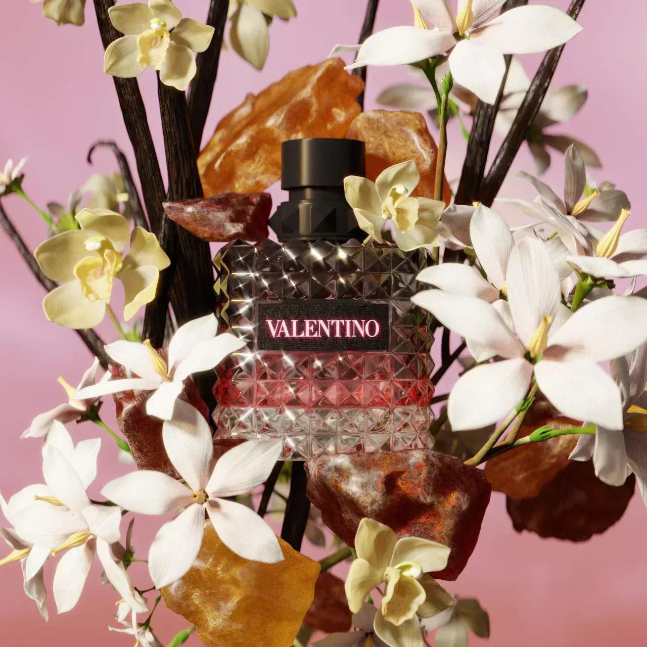 Valentino Donna Born in Roma Main image