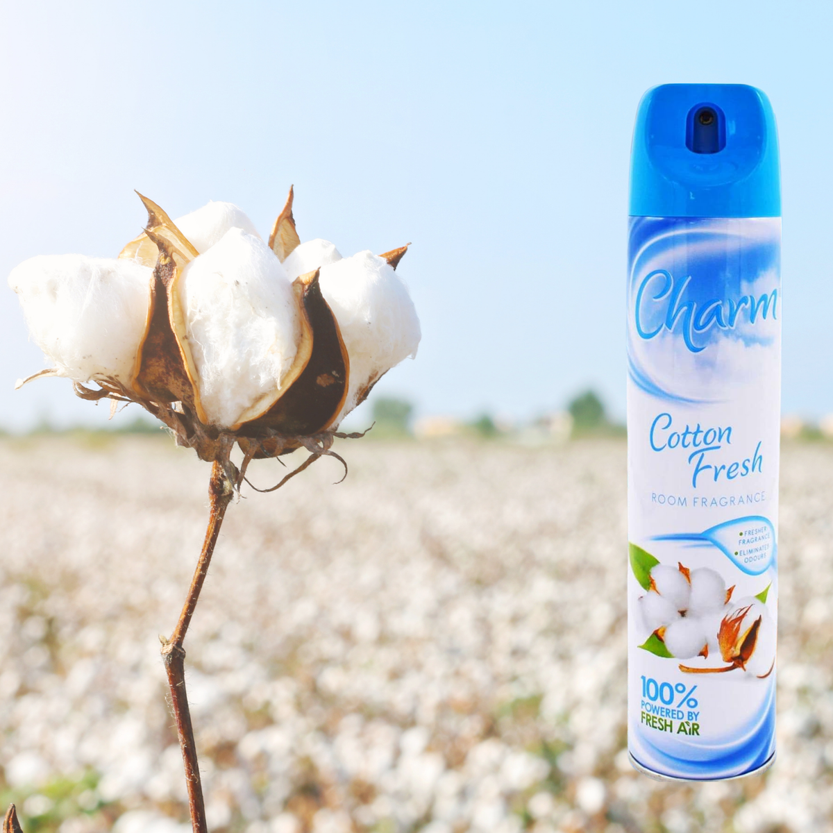 CHARM AIRFRESH COTTON FRESH 240ML