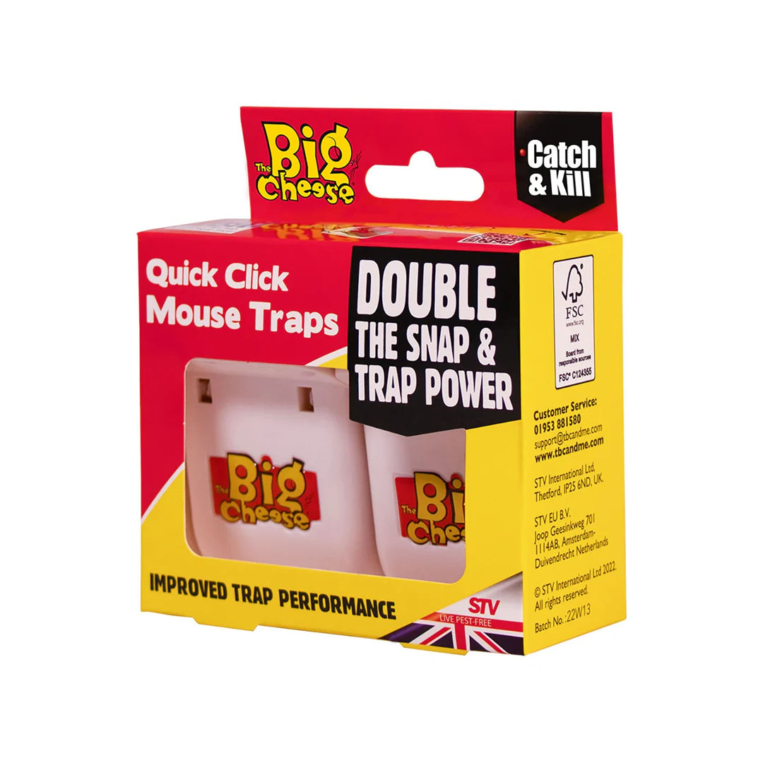 BIG CHEESE MOUSE TRAP 2 PK