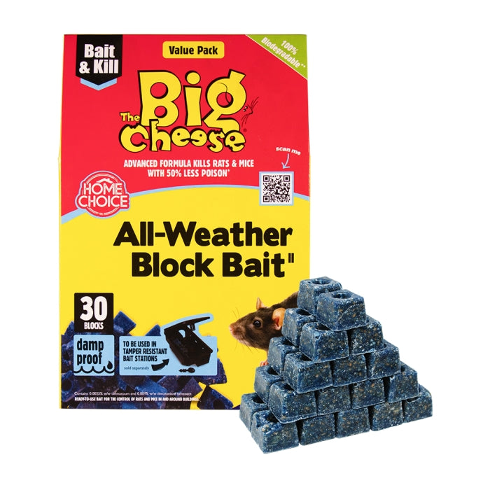BIG CHEESE BLOCK BAIT 6 BLOCKS X 10G